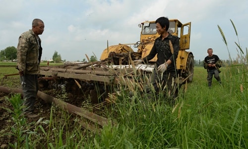 Li Chengbin (trái) và con trai Li Xin đang làm việc trên cánh đồng mà họ thuê tại ngôi làng thuộc vùng Opytnoe, Nga. Ảnh: New York Times