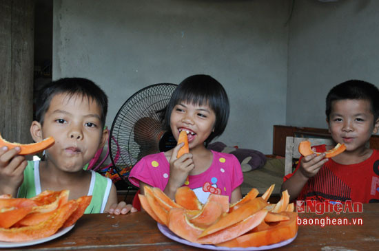 Đã có nhiều người dân trong xã, trong vùng đến tìm hiểu, đặt giống. Ông Mai dự kiến sẽ tiếp tục mua giống về trồng tiếp tại gia trại và cung ứng cho người dân có nhu cầu sản xuất. Cây đu đủ Thái hứa hẹn là hướng phát triển kinh tế mới của người dân Thanh Phong, Thanh Chương. 