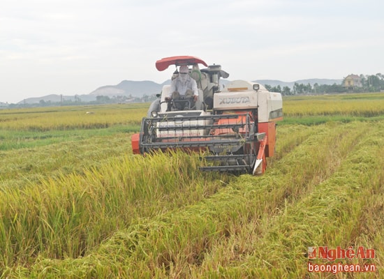 Đẩy mạnh ứng dụng khoa học kỹ thuật vào sản xuất