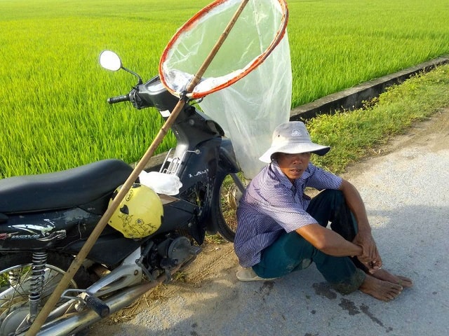 Vợt châu chấu dễ làm nhưng phải người có sức khỏe mới theo được nghề. Để tránh nắng nóng họ bắt đầu vợt chấu từ 5 giờ sáng và kết thúc lúc 10 giờ trưa. Trong ảnh anh Trương Sỏi ở xóm 8, xã Quỳnh Văn, huyện Quỳnh Lưu tranh thủ nghỉ ngơi lấy lại sức để tiếp tục chạy vợt.