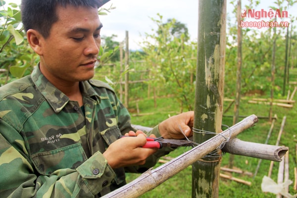 Thời điểm năm  2011, gia đình của anh có gần 4 ha đất rừng nhận giao khoán của xã nhưng chỉ mới có 1 ha được sử dụng trồng mét còn lại 3 ha vẫn để không. Tận dụng vốn đất của gia đình,  anh vay vốn họ hàng để lặn lội ra trường Đại học Nông nghiệp 1 để tìm hiểu các nhà vườn trong khuôn viên trường để chọn ra được loại cây trồng phù hợp để phát triển trang trại. 