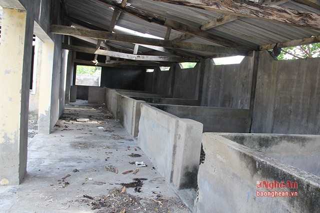 Qua hơn 10 năm bị bỏ hoang, nay lò mổ lợn Nghi Thủy đã bị hư hại, xuống cấp: mái bị vỡ vụn, sập đổ
