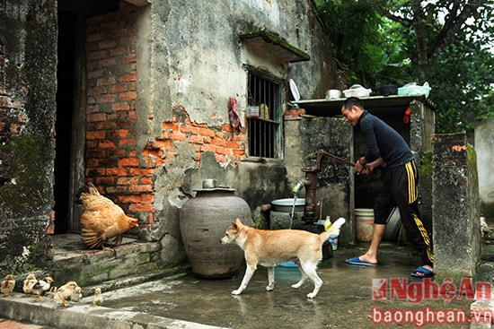 Căn nhà của MInh Vương ở xã Hưng Đạo, Hưng Nguyên 