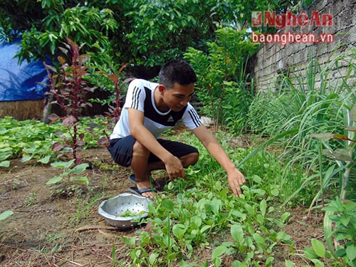 Mạnh tích cực giúp đỡ bố mẹ từ việc nhà tới việc đồng áng. 