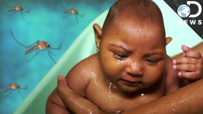 Thử nghiệm thành công 3 mẫu vaccine phòng chống virus Zika - Ảnh 3.