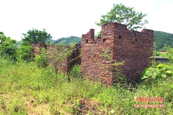 Cỏ mọc trong các ki-ốt của Chợ Thành Sơn (Anh Sơn).