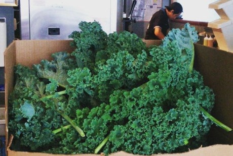 Cải xoăn trên thị trường Việt Nam trên dưới 70.000 đồng/kg.