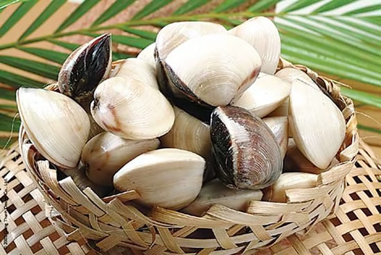 Hình minh họa