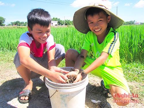 Niềm vui của các em khi bắt được nhiều cua, có thêm tiền phụ giúp cho bố mẹ, nhưng công việc cũng khá thú vị với các em bởi khám phá thiên nhi