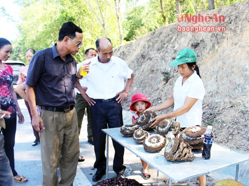 Người qua đường rất “khoái” mua nhộng ong về làm món nhậu.