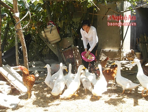 Đinh Thị Nhung giúp bố mẹ làm việc nhà. 