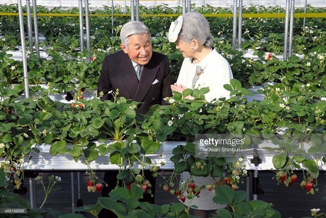 Vợ chồng Hoàng gia Nhật chia sẻ cùng nhau những niềm vui bình dị. (ảnh: Getty).