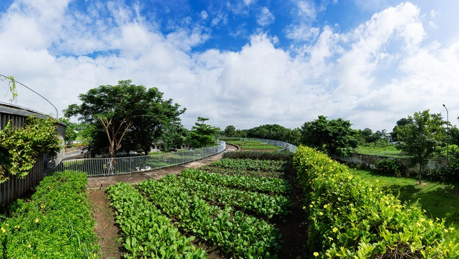 Nhà trẻ hiện là nơi chăm sóc cho khoảng 500 bé là con của công nhân trong khu công nghiệp ở Đồng Nai.