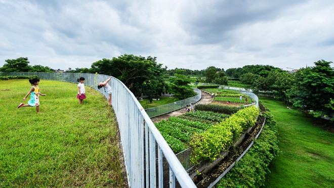 Vườn rau khổng lồ trên nóc công trình Việt từng đoạt giải quốc tế