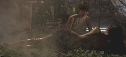 Các mỹ nhân châu Á nổi tiếng với cảnh yêu đồng giới - ảnh 10