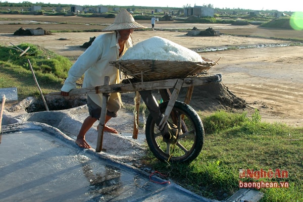 Chuyển muối về kho.