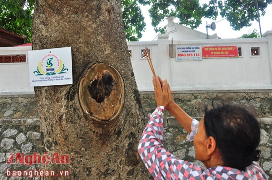 Bởi trải qua rất nhiều năm tháng, những gốc đại thụ được công nhận Di sản của đền cũng được người dân nơi đây coi là chốn linh thiêng và thường xuyên cầu khấn, lễ bái. Cụ bà Nguyễn Thị Son (76 tuổi), người bán nước ở cổng đền đã mấy chục năm nay kể rằng,