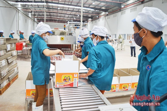 Đóng gói sản phẩm tại nhà máy Royal Foods, Khu công nghiệp Nam Cấm - Ảnh: 
