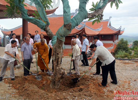 Đoàn tham gia trồng cây lưu niệm tại chùa