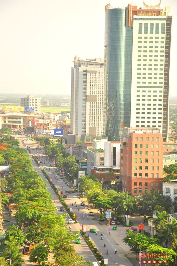 Đại lộ Quang Trung.Ảnh: Trần Hải