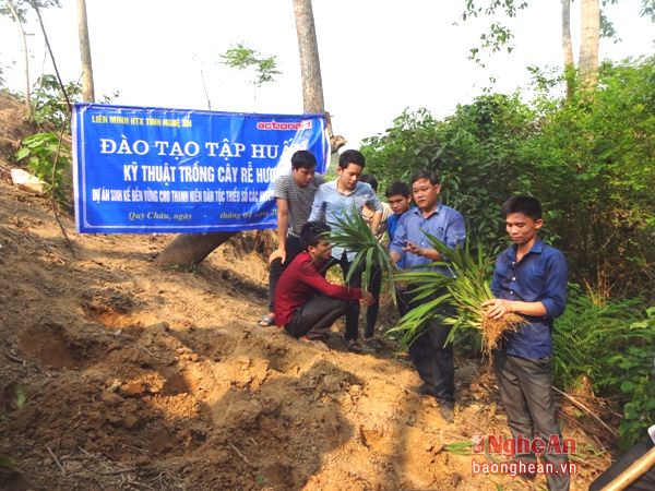 Học viên tham gia lớp tập huấn trồng cây rễ hương ở Quỳ Châu.