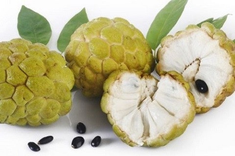 Không nên ăn na chưa chín hẳn