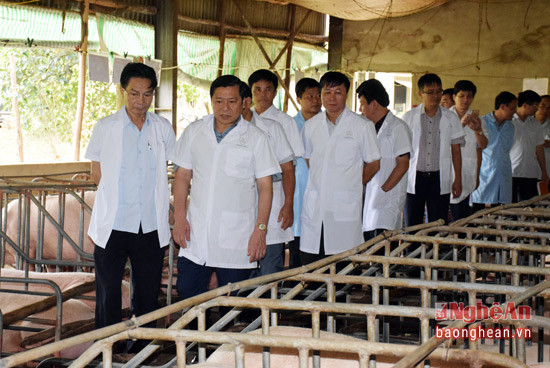  Đoàn thăm khu vực chăn nuôi lợn nái sinh sản của trang trại kinh tế tổng hợp của ông Đặng Anh Tuấn