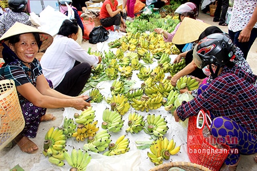 Năm nay, chuối mất mùa, không có nhiều nải đẹp nhưng ai cũng cố chọn lấy những nải chuối mà mình ưng nhất.