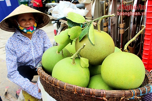 Bưởi năm nay quả nào cũng to, đẹp thích hợp cho việc sắp xếp mâm ngũ quả.