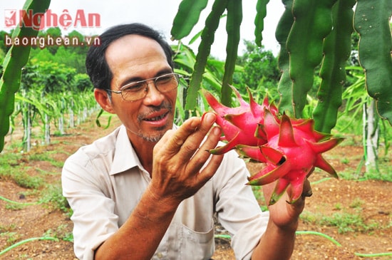 ...và thành quả những năm tháng 