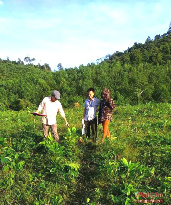 Lãnh đạo Sở NN & PTNT kiểm tra thực địa công tác khoán bảo vệ rừng tại xã Mỹ Lý (Quế Phong).