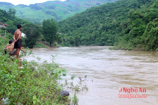 Nhiều ngày nay, nước sông Nậm Mộ dâng cao do mưa lũ. Lợi dụng điều này, nhiều người dân ở xã Tà Cạ (Kỳ Sơn) rủ nhau ra sông vớt củi.