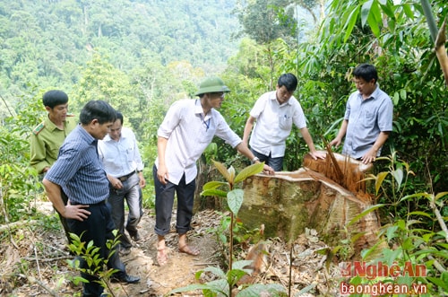 Đoàn công tác liên ngành kiểm tra thực tế hiện trường để làm rõ thông tin một số báo nêu việc mở đường tuần tra ảnh hưởng tới rừng đặc dụng Pù Hoạt