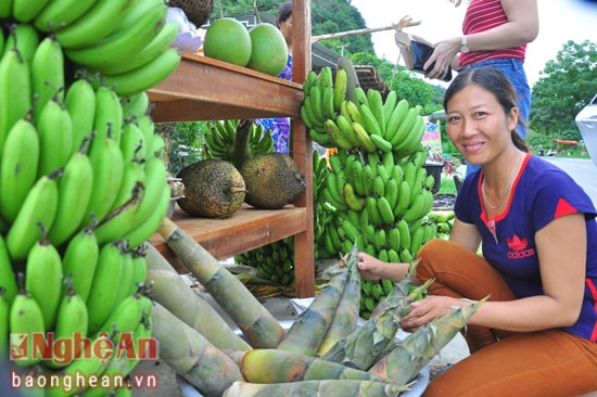 Dọc tuyến đường 7A, đoạn qua xã Cẩm Sơn (Anh Sơn), nơi đôi bên bờ dòng Lam là xanh ngút mắt bãi ngô, ruộng mướp, bí...giờ đây những sản vật ngọt lành ấy cũng đã theo chân người dân ra ven đường để đến với những người khách muôn phương.