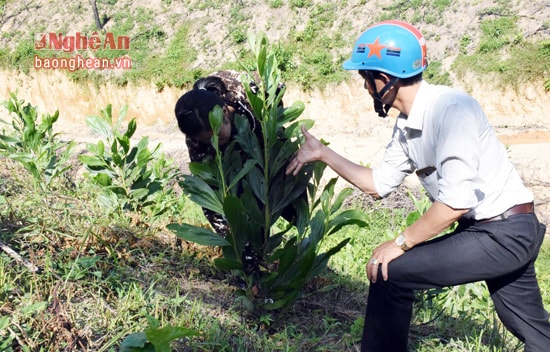 Tích cực trồng rừng là một trong những giải pháp chống biến đổi khí hậu hiệu quả.