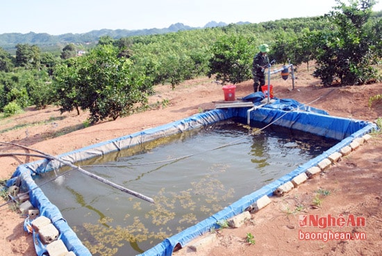 Ứng dụng công nghệ tưới nhỏ giọt cho cây trồng là giải pháp đối phó với biến đổi khí hậu hiện nay.