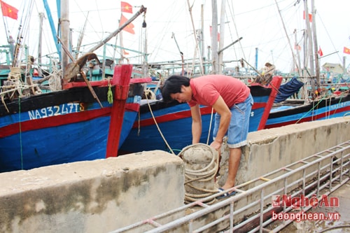 Ngư dân neo giằng tàu thuyền tại cảng cá