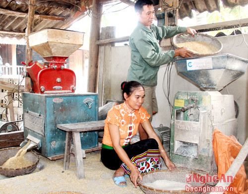 Gia đình bà Hà Thị Đào ở bản Hội 3 - xã Châu Hội - Quỳ Châu vay vốn sản xuất kinh doanh thuộc khó khăn đầu tư dịch vụ xay xát, phát triển kinh tế trang trại mang lại hiệu quả kinh tế cao. 