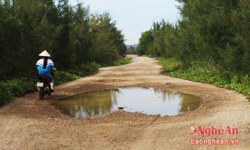 Mặt đê biển vùng bãi ngang Quỳnh Lưu  bị xuống cấp.