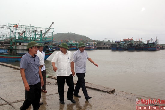 Đoàn công tác đội mưa kiểm tra tình hình neo đậu tàu thuyền ở Cảng cá Lạch Quèn, nơi có hơn 800 tàu thuyền đang neo đậu.