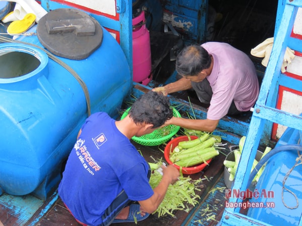 Trong khi thợ lưới làm việc, đội ngũ “anh nuôi” trên các tàu cá tập trung chuẩn bị bữa ăn trưa. 