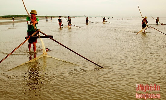 đẩy ruốc gần bờ bằng vó trủ