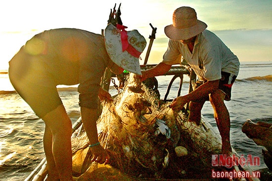 Cua, ghẹ được đánh bắt bằnglưới “vướng”