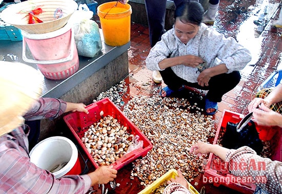 hàng nghêu trong chợ làng chài