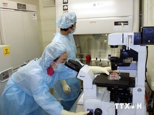 Trên thế giới, rất nhiều trường hợp mắc bệnh truyền nhiễm liên quan đến việc không đảm bảo ATSH trong PXN đã được ghi nhận (Ảnh minh họa: TTXVN)