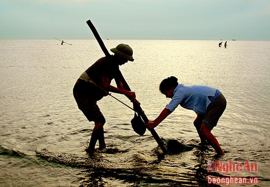 Cào don buổi sáng