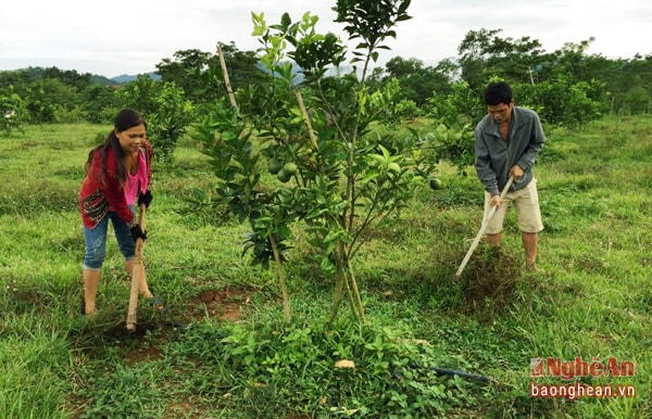 Vợ chồng anh Sơn chị Liên được tạo công ăn việc làm sau khi hoàn lương