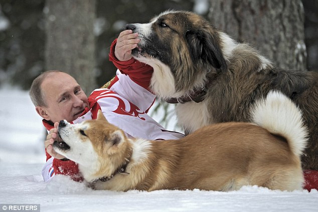 Hình ảnh ông Putin vui đùa cùng các chú chó cưng của mình tại Moscow năm 2013.