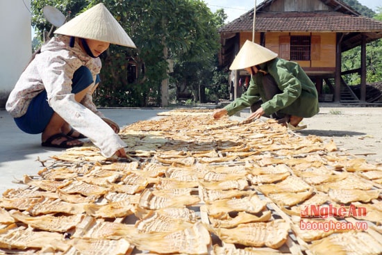 Phơi măng 