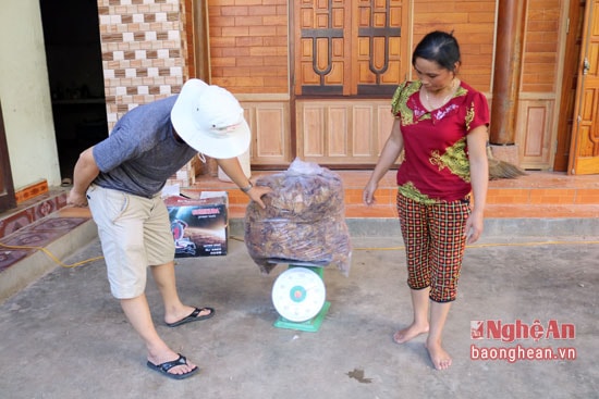 Măng khô được nhiều người ưa thích đến tận thôn bản để thu mua. Hàng tạ măng khô mỗi năm 